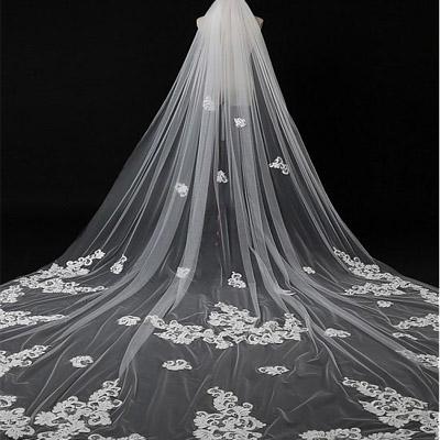 Graceful Tulle Long  Wedding Veil With Lace Appliques, WV0116